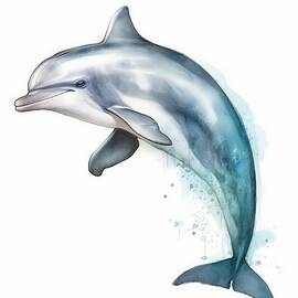 Dolphin jump by Land of Dreams