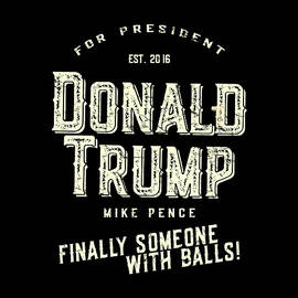 Donald Trump Mike Pence 2016 Retro by Flippin Sweet Gear