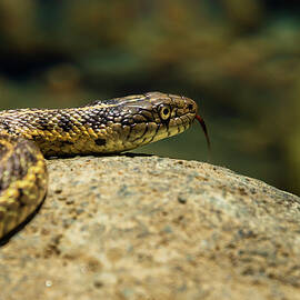 Don't Hate Me Because I'm Beautiful by Mike Lee