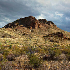 Dramatic Desert Mountain Scene by Michael Collins