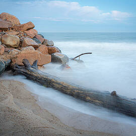 Driftwood Beach by Dave King