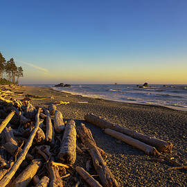 Driftwood-Strewn Shoreline at Ruby Beach, Washington by Miroslav Liska