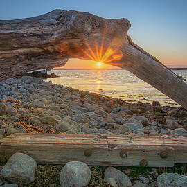 Driftwood Sunset by Dave King