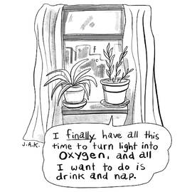 Drinking and Napping by Jason Adam Katzenstein