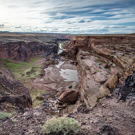 Dry Chocolate by Matt Halvorson