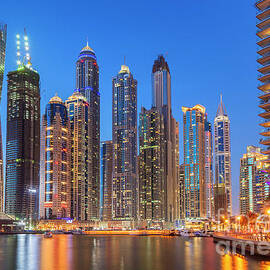 Dubai Marina Skyline at night by Neale And Judith Clark