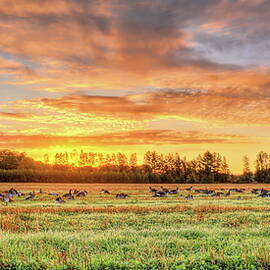 Duck Opener On The Goose Field by Dale Kauzlaric