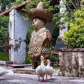 Ducks at Parque Bordo by William Scott Koenig