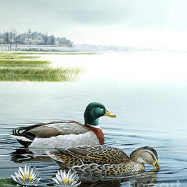 Ducks Swimming On Pond by Don Balke