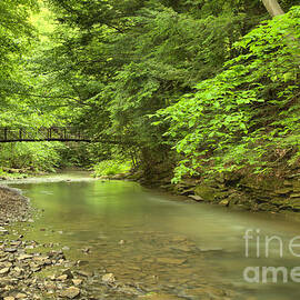 Duff Park Bridge In The Distance by Adam Jewell