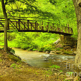 Duff Park Creek Bridge by Adam Jewell