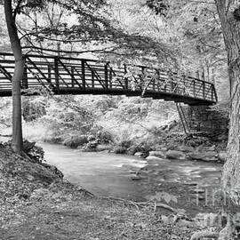Duff Park Creek Bridge Black And White by Adam Jewell