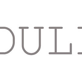 Dull by Richard Reeve