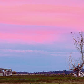 Dusk at the Homestead by Mike Lee