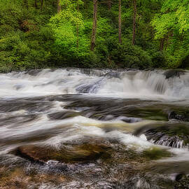 DWG Streams and Cascades by Susan Candelario