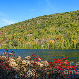 Eagle Lake Fall by Olivier Le Queinec