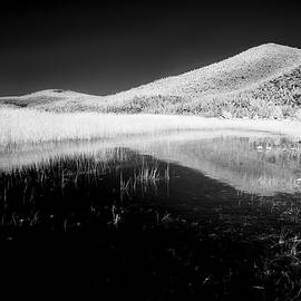 Eagle Lake Shoreline Infrared by Mike Lee
