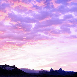 Ear-resistible by KC Hulsman