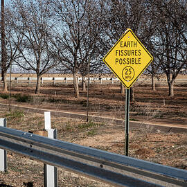 Earth Fissures Possible by Mary Lee Dereske
