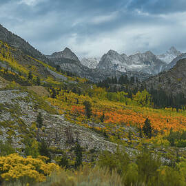 Eastern Sierra Carpets of Fall Color by Bonnie Colgan