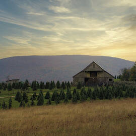 Echoes in the Mountains by Stacy Abbott