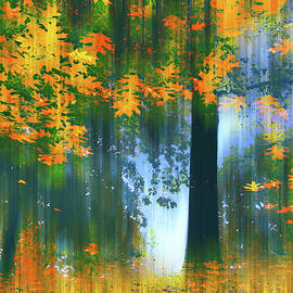 Echoes of Autumn II by Jessica Jenney