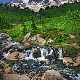 Edith Creek and Mount Rainier, Washington state - Vertical by Abbie Matthews