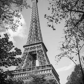 Eiffel Tower Framed by Trees BW by John Twynam