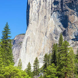  El Capitan, Yosemite National Park, California, USA by Neale And Judith Clark