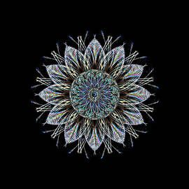 Electric Flower Power by David Manlove