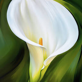 Camino Calla by Ursula Abresch