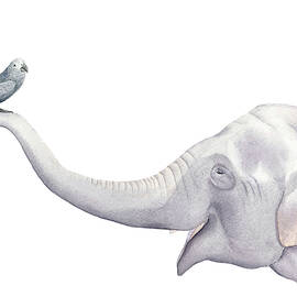Elephant and Bird Watercolor by Craphe Studio
