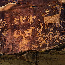Elk, Deer, and Hunters - Nine Mile Canyon, Utah by Abbie Warnock