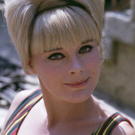 Elke Sommer Glamour Pin up Bouffant Hair Style 1960 Beauty Vintage by Silver Screen