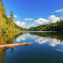 Emeral Lake Reflections by Tommy Farnsworth