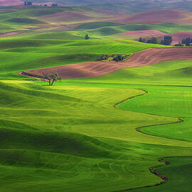 Emerald River of the Palouse by Kevin Schwalbe