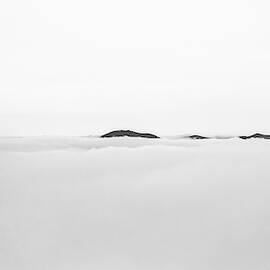 Emergence by Stacy Abbott