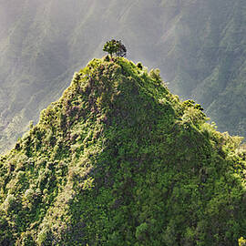 Encircle by Slow Fuse Photography