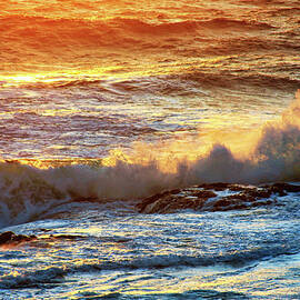 End of the day in Newfoundland by Tatiana Travelways
