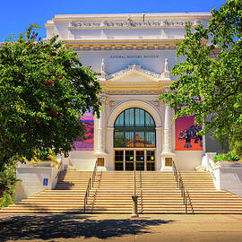 Entrance to the Natural History Museum in Balboa Park, San Diego by Miroslav Liska