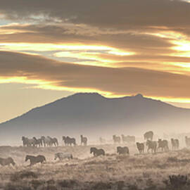 Epic Sunrise. by Paul Martin