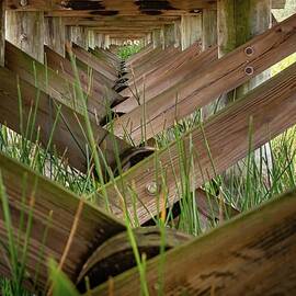 Escape The Heat by Rebecca Herranen