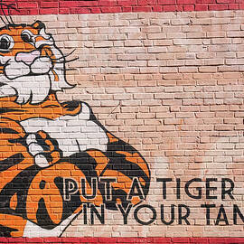 Esso Tiger wall painting by Flees Photos