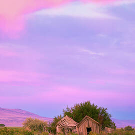 Evening at the Shack by Mike Lee