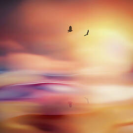 Evening Flight by Ursula Abresch