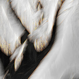 Evening Willow 4 by Ursula Abresch