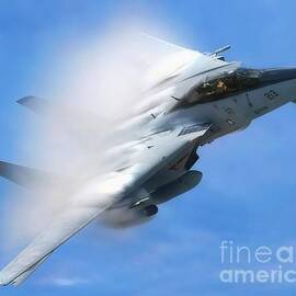 F14 Evasion Maneuver  by Antonios Valamontes