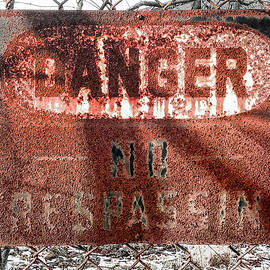 Faded Danger by Steven Nelson