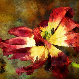 Faded elegance by Tatiana Travelways
