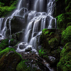 Fairy Falls and Moss 2, Oregon by Abbie Matthews